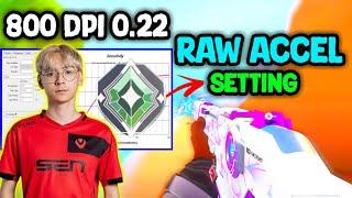 raw accel valorant settings 800 dpi | best raw accel settings valorant