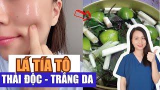 4 cách xông mặt bằng lá tía tô giúp thải độc da, trị mụn, sáng da mờ đốm nâu | Nguyễn Mai Hương