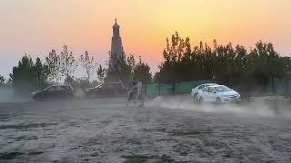 Chalbaaz Horse Shazada  I Rider I Manu Sekhon I Latest Video 2024