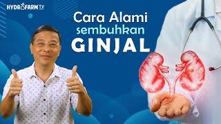 Cara Alami Sembuhkan GINJAL !