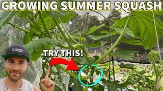 2 Ways To Grow Zucchini And Summer Squash You May Not Know