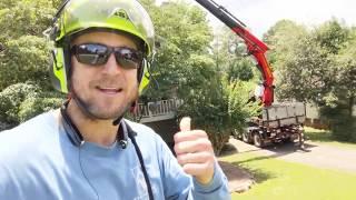 East Cobb GA Emergency Tree Removal with Giant Crane