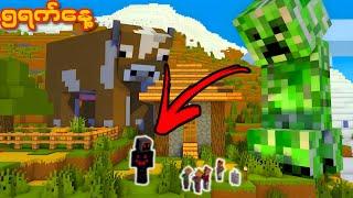 အရွယ်စုံဖြစ်နေတဲ့ Minecraft ကမ္ဘာကြီး| Minecraft but Mobs are Random Size...