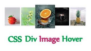 Css Div Image Hover | Html, Css image card hover effect