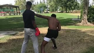 Amateur Boxer vs Street Fighter