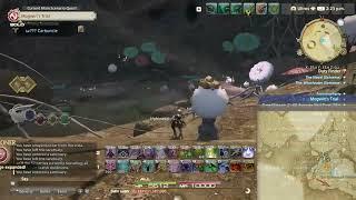 Obtain the moogle masterpiece | Final Fantasy XIV Online | Mogwins Trial