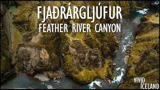 Exploring Fjaðrárgljúfur: Iceland's Most Iconic Canyon Revealed