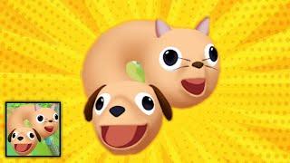 Cats & Dogs 3D Level 1-20 Gameplay