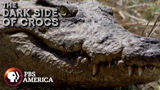 The Dark Side of Crocs (2018) | Full Documentary