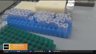 Boston doctor calls for more screening for genetic rare diseases in newborns