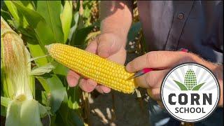 Corn School: SWAT Mapping with Paul Sullivan