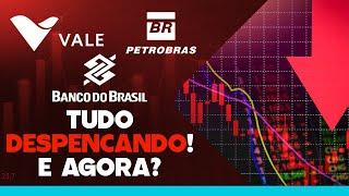 BOLSA DESPENCANDO FORTE, DÓLAR SUBINDO E JUROS SUBINDO. O BRASIL ACABOU? CUIDADO COM A SARDINHAGEM