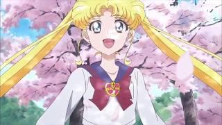 Happy Birthday Usagi & Chibi Usa! (Sailor Moon AMV)