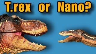 The Nanotyrannus Debate!