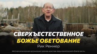 8. Сверхъестественное Божье обетование – «Псалом 22: Господь – Пастырь мой». Рик Реннер