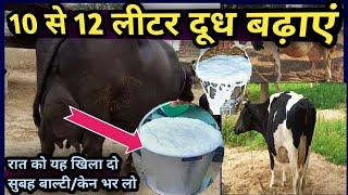 10 से 12 लीटर दूध बढ़ाएं गाय भैंस का दूध बढ़ाने का फार्मूला Dudh Badane ka Formula Increase Milk