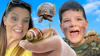 CALEB and MOMMY LOOK for Turtles and BUGS on our BACKYARD BUG HUNT!