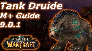 Wächter Druide Shadowlands Guide - Pre Patch 9.0.1 [Mythic+]