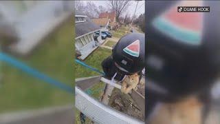 Avoiding catastrophe: Toledo woman saves her cat from 20-foot tree