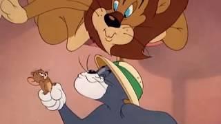 Том и Джерри 50 серия 3 часть (1950) Джерри и лев