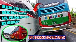 Crazy, Severe Rampage ‼️Sugeng Rahayu Budiman Primajasa bus fighting over lane