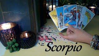 Scorpio August 2024  STRESSED! They Met Their Match When They Met You Scorpio FUTURE LOVE #Tarot