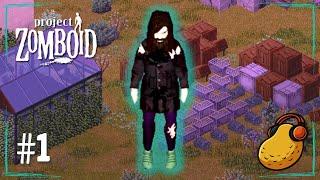 An Extremely Lucky Shipwreck!  | Let's Play Modded Project Zomboid (Cherbourg) | Ep1 | Build 41.56