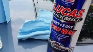 How To Completely Remove Tree Sap From The Exterior Of Your Car