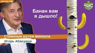 Банан вам в Дышло! Странные шутки Минсела. Сельский час #236 (Игорь Абакумов)