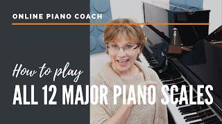 Learn All 12 Major Scales Piano Tutorial for Adult Beginners