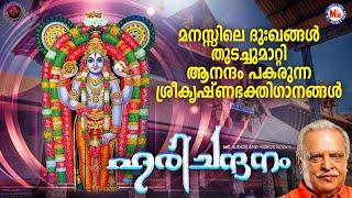 മനസ്സിലെ ദുഃഖങ്ങൾ തുടച്ചുമാറ്റി ആനന്ദം പകരുന്ന ശ്രീകൃഷ്ണഭക്തിഗാനങ്ങൾ | Sreekrishna Songs Malayalam