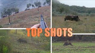 BEST MOMENT CACCIA AL CINGHIALE IN BRACCATA PT.2  _ TOP WILD BOAR HUNTING SHOTS