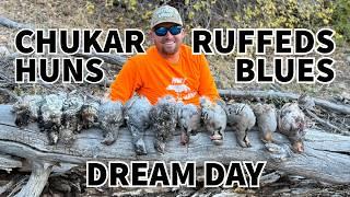 Upland Hunting MIXED Bag! 4 SPECIES 1 HUNT