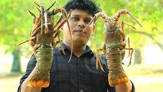 1.5 kg BIG LOBSTER | KING of LOBSTER GRAVY | Cooking Skill Village Food Channel