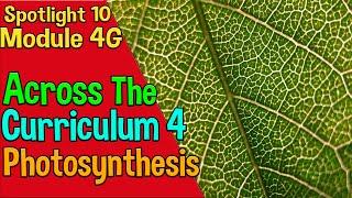 Spotlight 10 Across The Curriculum 4. Photosynthesis