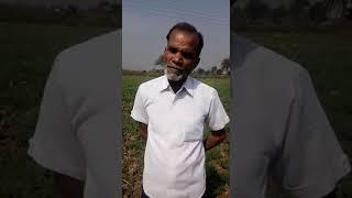 Vox pop on PRADHANMANTRI FASAL BIMA YOJANA