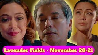 Lavender Fields November 20, 2024 Advance Full Episode #lavenderfields