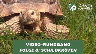 Land der Tiere-Video-Rundgang – Folge 8: Bei den Schildkröten 