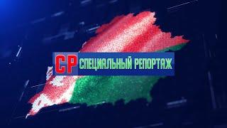 Специальный репортаж 13.11.2024. Акция "Дай лесу новае жыццё!"