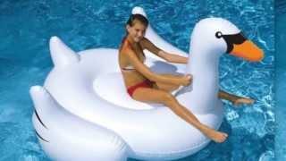 Swimline Giant Inflatable Swan Toy | 90621