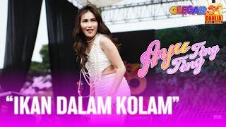 AYU TING TING - IKAN DALAM KOLAM ( LIVE PERFORM 53 TAHUN DAHLIA )