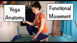 Yoga and Functional Movement :: Yoga Anatomy :: Course Giveaway