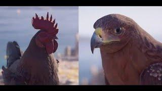 Eagle Bearer VS ''Eagle Bearer'' the battle of Misthios