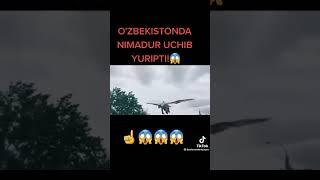 BUNI QARANG DENAZAVR UCHIB YURIPTI