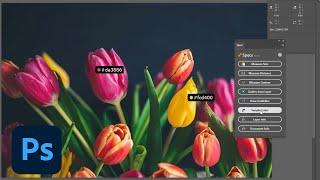 Specs by Simon Henke | Plugin Demo | Adobe Creative Cloud