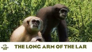 The Long Arm of the Lar - Planet Zoo Music/Tropical Pack