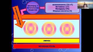 ТЕХНОЛОГИЯ ЗДОРОВЬЯ С НАТАЛЬЕЙ ЛЕНЧИК