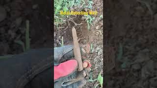 Metal Detecting in zona Ww2. #metaldetecting #treasurehunt #ww2 #shorts