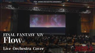 Final Fantasy XIV - Flow【Live Orchestra Cover】