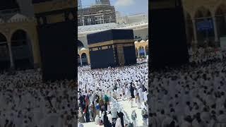 MASHA ALLAH  #shorts #viral #short #shortvideo #shortsfeed  #islamicvideo #islamicshorts #ytshorts